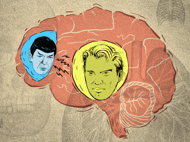 spock vs kirk brain image